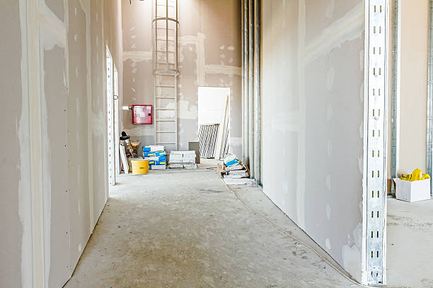 Best Water-Damaged Drywall Repair  in Paintsville, KY